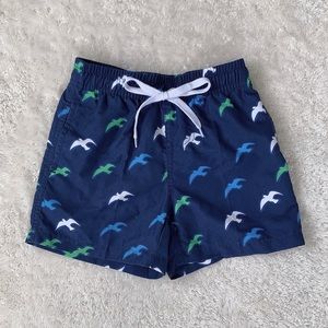 Kids Boys Swim Suit 4T